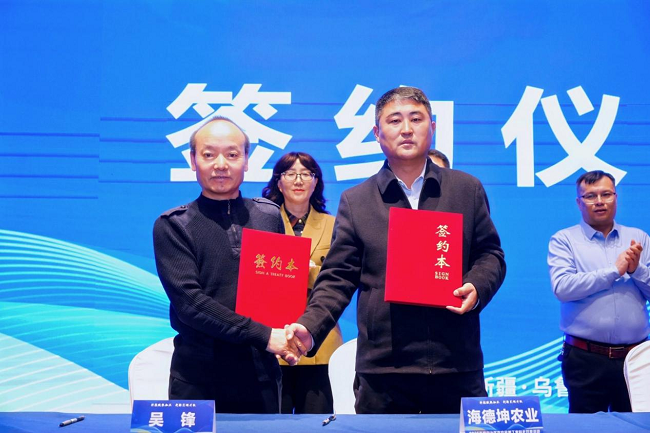 图片 3.png