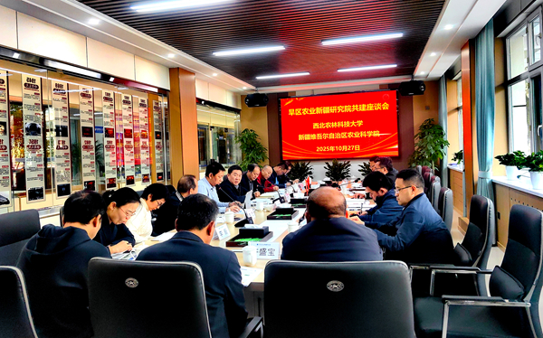 座谈会现场_副本_副本.jpg