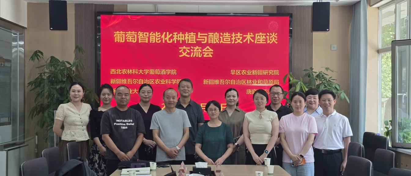 图片 4.png