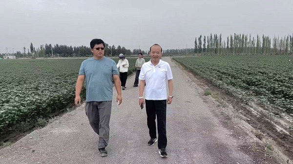 微信图片_20260729185521_176_6667.jpg